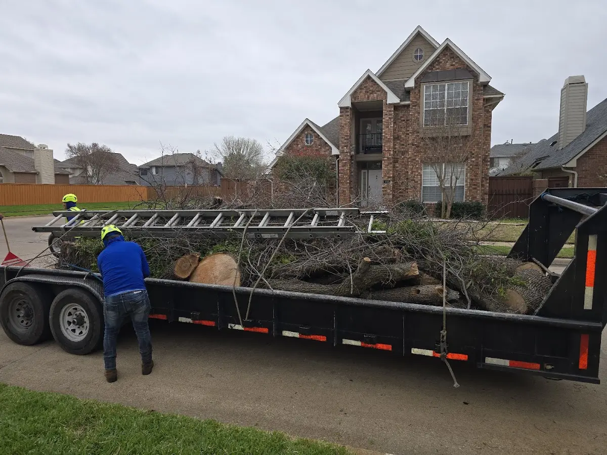 Expert Lot Clearing with proper safety equipment in Animas